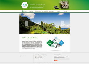 探秘網頁設計之美 從企業官網到ZCOOL社區